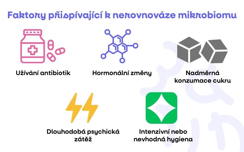 FAKTORYHISTAMIN